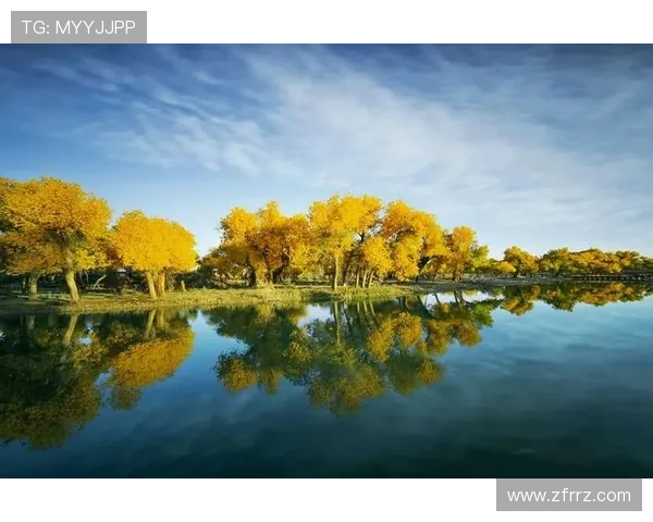 《红高粱》：一部荡气回肠的史诗，一次穿越时空的生命礼赞